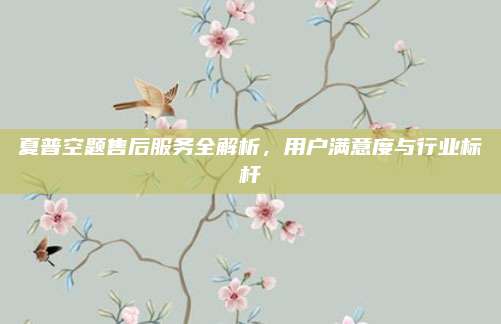夏普空题售后服务全解析，用户满意度与行业标杆