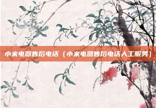 小米电器售后电话(小米电器售后电话人工服务)