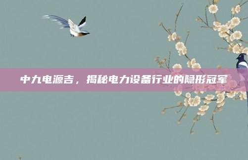 中九电源吉,揭秘电力设备行业的隐形冠军