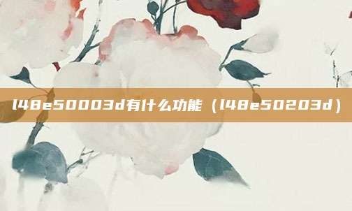 l48e50003d有什么功能（l48e50203d）