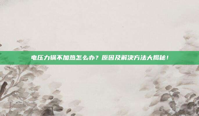 电压力锅不加热怎么办？原因及解决方法大揭秘！