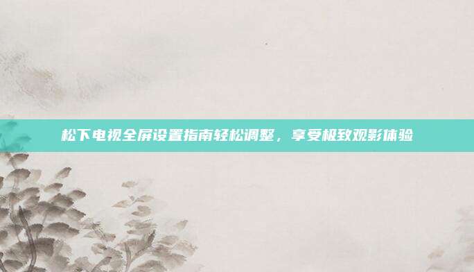 松下电视全屏设置指南轻松调整，享受极致观影体验