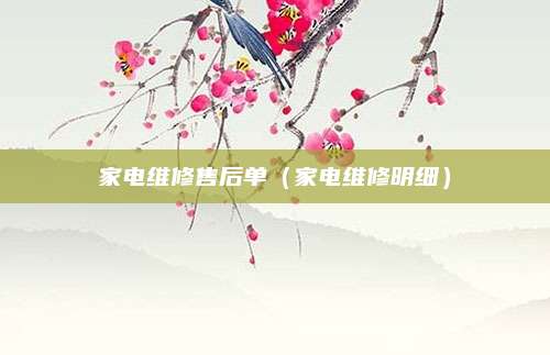 家电维修售后单（家电维修明细）