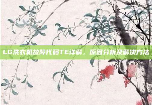 LG洗衣机故障代码TE详解，原因分析及解决方法