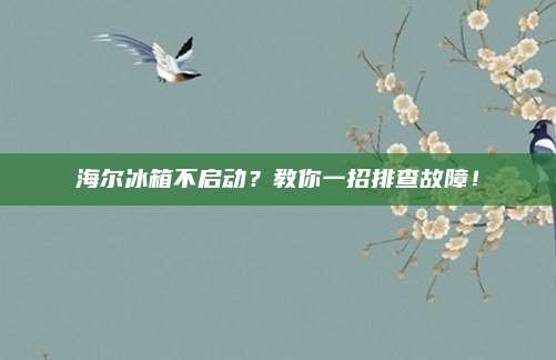 海尔冰箱不启动？教你一招排查故障！