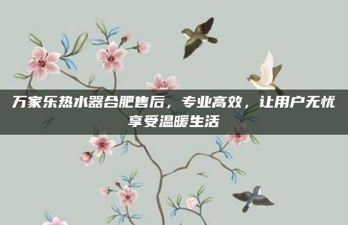 万家乐热水器合肥售后,专业高效,让用户无忧享受温暖生活