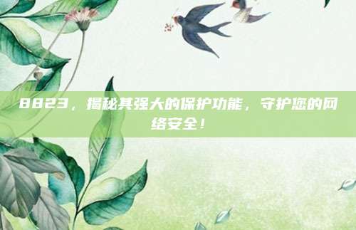 8823,揭秘其强大的保护功能,守护您的网络安全!