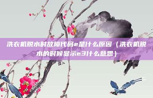 洗衣机脱水时故障代码e是什么原因(洗衣机脱水的时候显示e3什么意思)