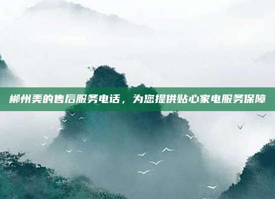 郴州美的售后服务电话，为您提供贴心家电服务保障