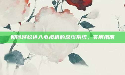 如何轻松进入电视机的总线系统,实用指南