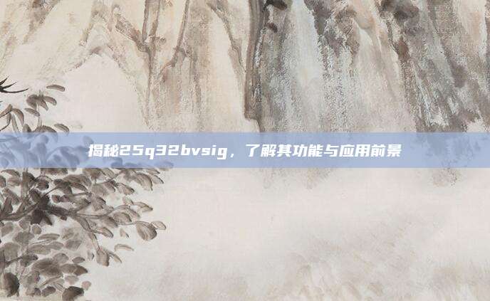 揭秘25q32bvsig，了解其功能与应用前景