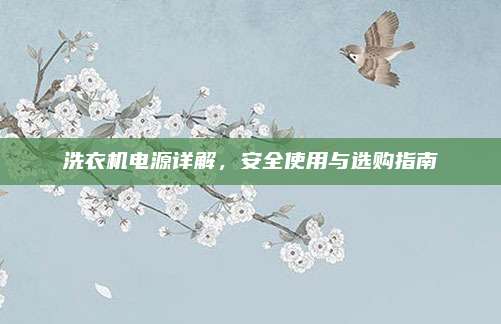 洗衣机电源详解,安全使用与选购指南