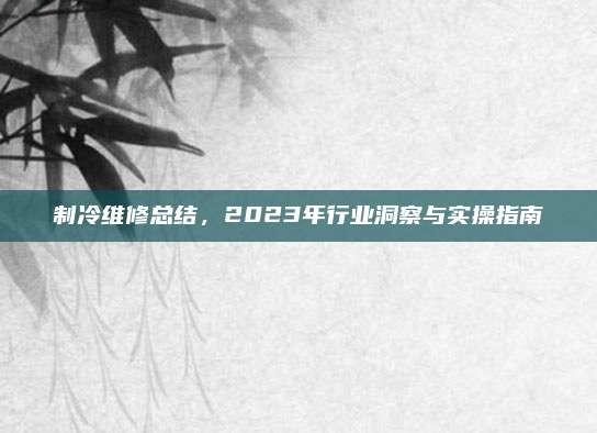制冷维修总结,2023年行业洞察与实操指南