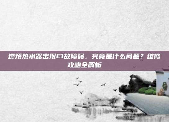 燃烧热水器出现E1故障码,究竟是什么问题?维修攻略全解析