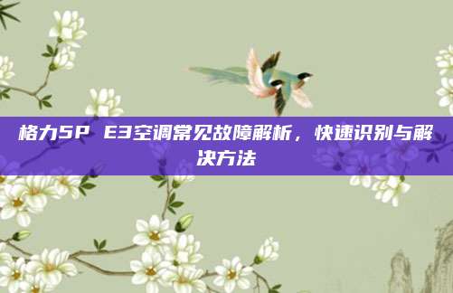 格力5P E3空调常见故障解析，快速识别与解决方法