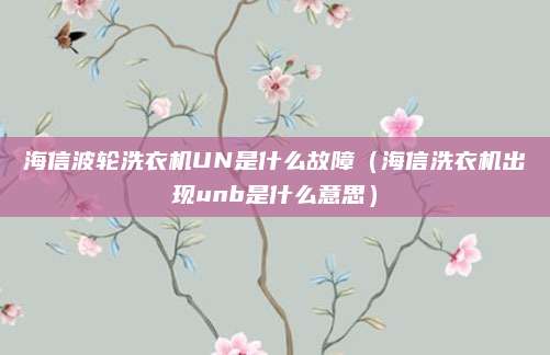 海信波轮洗衣机UN是什么故障（海信洗衣机出现unb是什么意思）