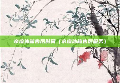 帝度冰箱售后时间(帝度冰箱售后服务)