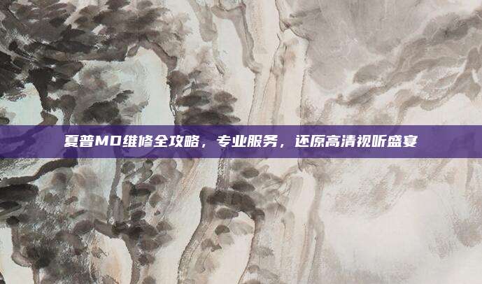 夏普MD维修全攻略,专业服务,还原高清视听盛宴