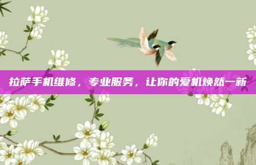 拉萨手机维修，专业服务，让你的爱机焕然一新