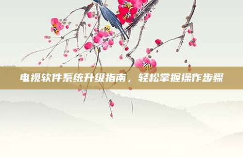 电视软件系统升级指南，轻松掌握操作步骤