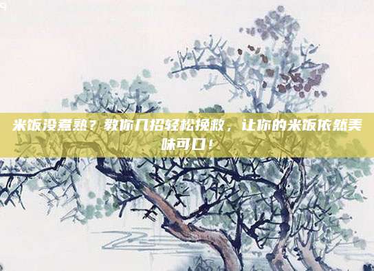 米饭没煮熟？教你几招轻松挽救，让你的米饭依然美味可口！