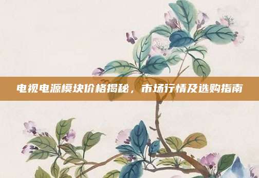 电视电源模块价格揭秘,市场行情及选购指南
