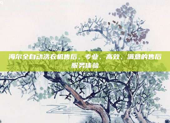 海尔全自动洗衣机售后,专业、高效、满意的售后服务体验