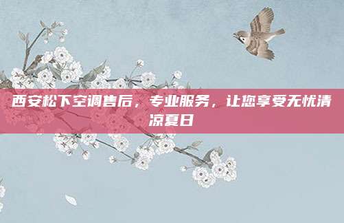 西安松下空调售后,专业服务,让您享受无忧清凉夏日