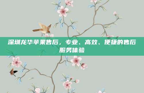 深圳龙华苹果售后,专业、高效、便捷的售后服务体验