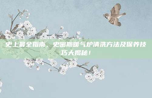 史上最全指南，史密斯暖气炉清洗方法及保养技巧大揭秘！