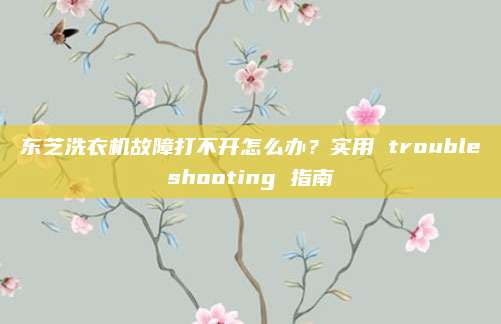 东芝洗衣机故障打不开怎么办？实用 troubleshooting 指南