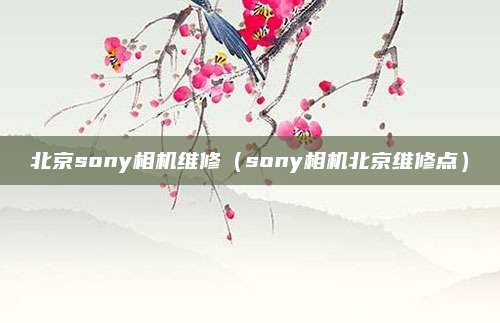 北京sony相机维修(sony相机北京维修点)
