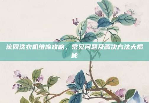 滚同洗衣机维修攻略，常见问题及解决方法大揭秘