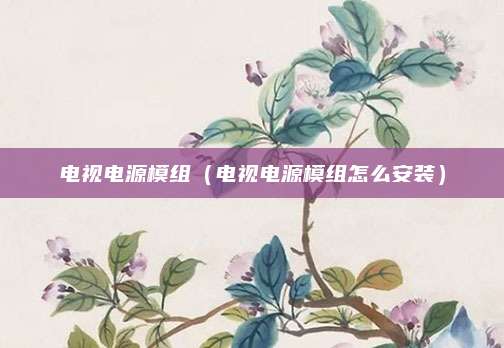 电视电源模组（电视电源模组怎么安装）