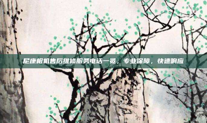 尼康相机售后维修服务电话一览,专业保障,快速响应