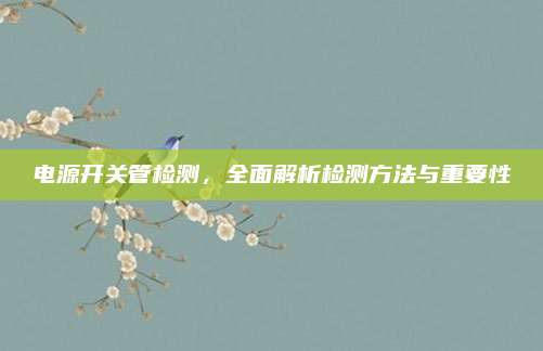 电源开关管检测,全面解析检测方法与重要性