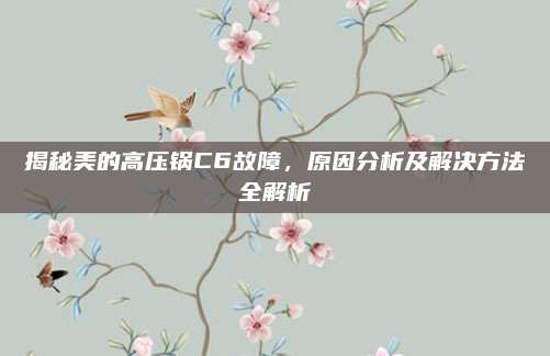 揭秘美的高压锅C6故障，原因分析及解决方法全解析