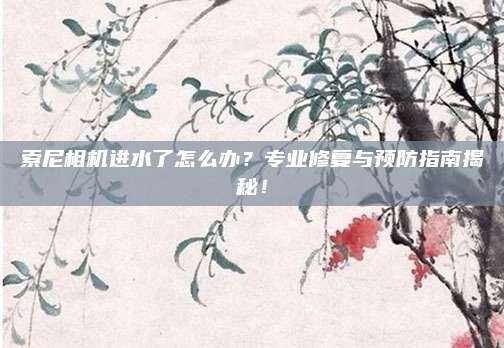 索尼相机进水了怎么办?专业修复与预防指南揭秘!