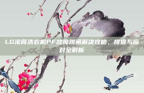 LG滚筒洗衣机PF故障跳闸解决攻略，排查与应对全解析