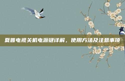 夏普电视关机电源键详解,使用方法及注意事项
