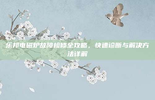 乐邦电磁炉故障检修全攻略，快速诊断与解决方法详解