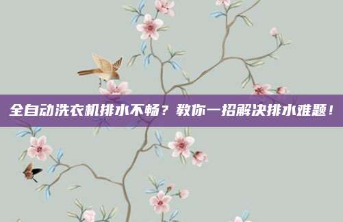 全自动洗衣机排水不畅?教你一招解决排水难题!