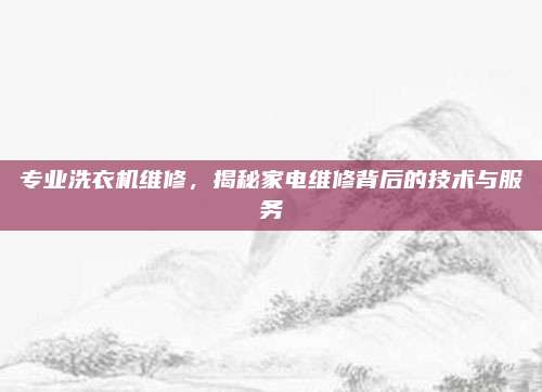 专业洗衣机维修，揭秘家电维修背后的技术与服务