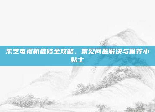 东芝电视机维修全攻略，常见问题解决与保养小贴士