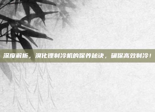 深度解析，溴化锂制冷机的保养秘诀，确保高效制冷！