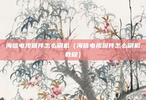 海信电视固件怎么刷机（海信电视固件怎么刷机教程）