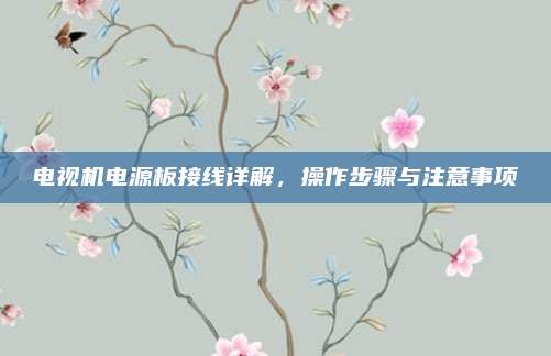 电视机电源板接线详解，操作步骤与注意事项