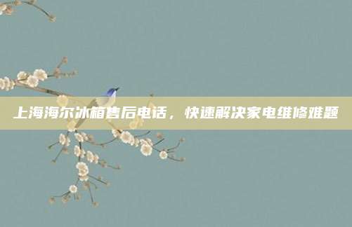 上海海尔冰箱售后电话,快速解决家电维修难题