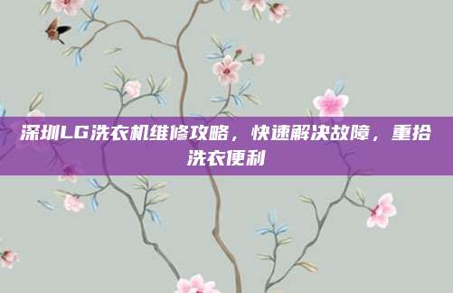 深圳LG洗衣机维修攻略,快速解决故障,重拾洗衣便利