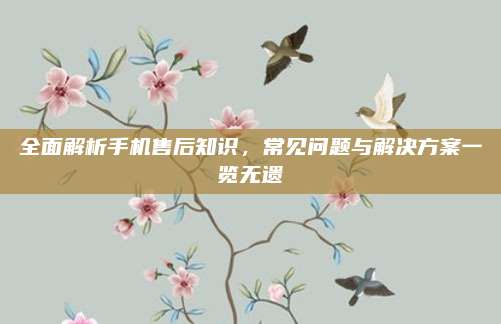 全面解析手机售后知识,常见问题与解决方案一览无遗